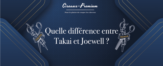 Ciseaux Japonais coiffure