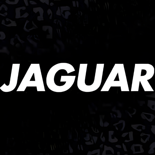 Ciseaux Coiffure Jaguar