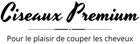 Ciseaux Premium logo