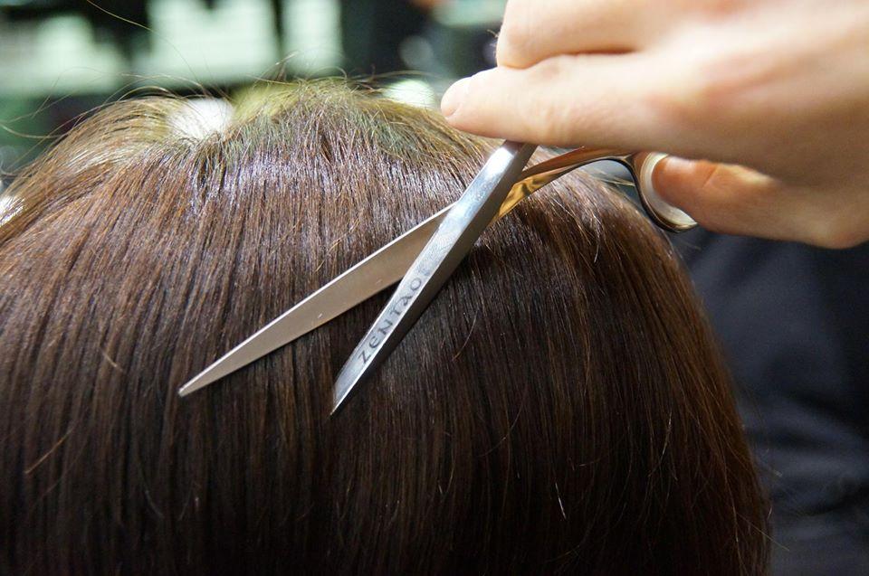 Ciseaux de coiffure - Ciseaux premium - Tondeo - Jaguar