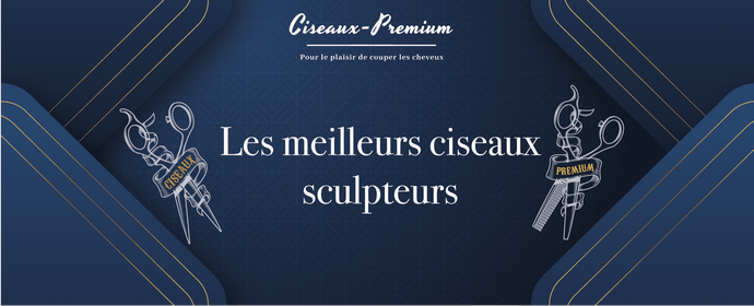 Top 10 Meilleurs Ciseaux Sculpteurs