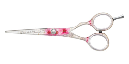 Kit Ciseaux + rasoir Jaguar Paris 2020 - Ciseaux-Premium®